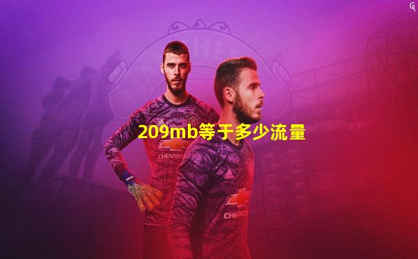 209mb等于多少流量
