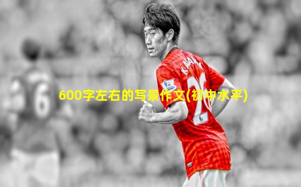 600字左右的写景作文(初中水平)