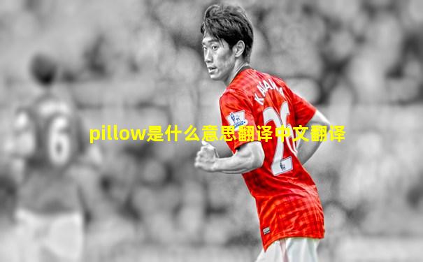 pillow是什么意思翻译中文翻译