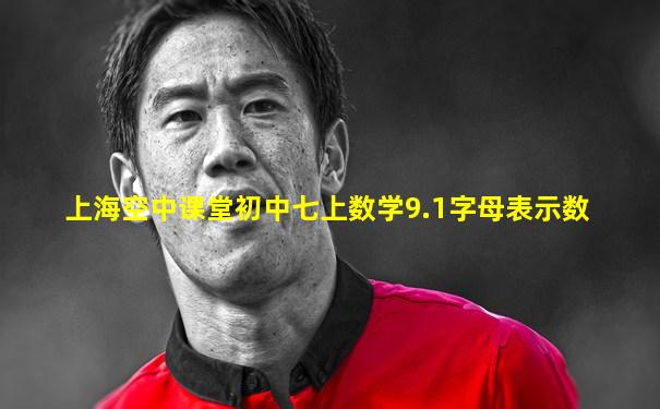 上海空中课堂初中七上数学9.1字母表示数