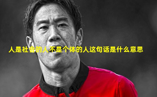 人是社会的人不是个体的人这句话是什么意思