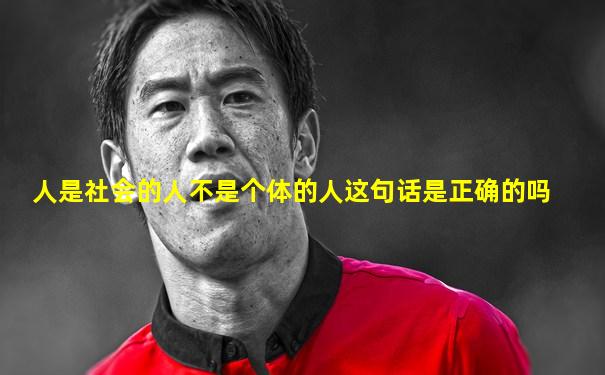 人是社会的人不是个体的人这句话是正确的吗
