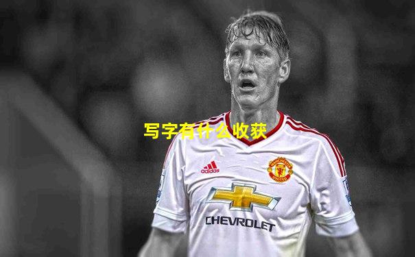 写字有什么收获