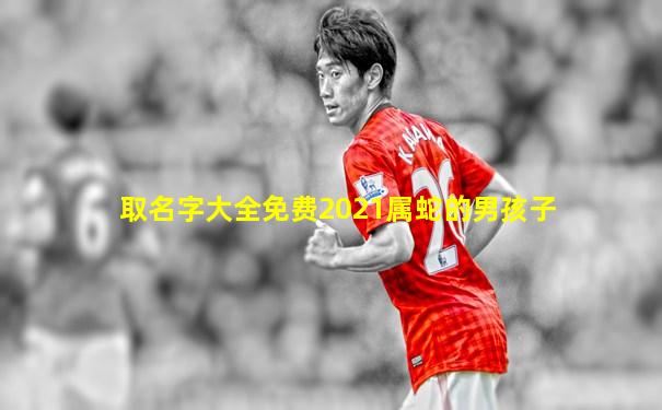 取名字大全免费2021属蛇的男孩子