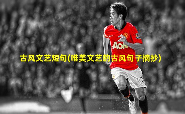 古风文艺短句(唯美文艺的古风句子摘抄)