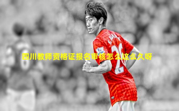 四川教师资格证报名审核怎么这么久呀