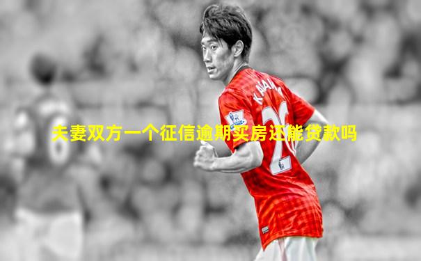 夫妻双方一个征信逾期买房还能贷款吗