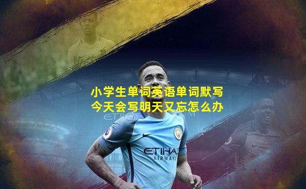 小学生单词英语单词默写今天会写明天又忘怎么办