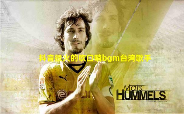 抖音很火的吹口哨bgm台湾歌手