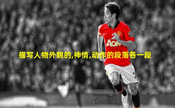 描写人物外貌的,神情,动作的段落各一段
