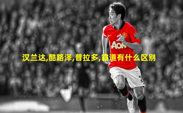 汉兰达,酷路泽,普拉多,霸道有什么区别