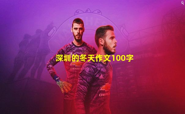 深圳的冬天作文100字