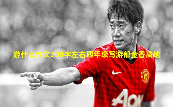 游什么作文300字左右四年级写游郁金香高地