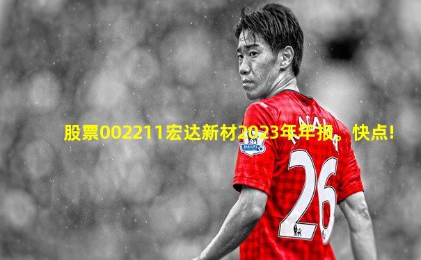 股票002211宏达新材2023年年报。快点!
